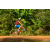 Team 165 / Raid Amazones Cambodge - J5 VTT