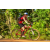 Team 137 / Raid Amazones Cambodge - J5 VTT