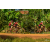 Team 137 / Raid Amazones Cambodge - J5 VTT