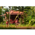 Team 165 / Raid Amazones Cambodge - J5 VTT