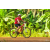 Team 135 / Raid Amazones Cambodge - J5 VTT