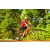 Team 135 / Raid Amazones Cambodge - J5 VTT
