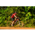 Team 15 / Raid Amazones Cambodge - J5 VTT