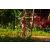 Team 138 / Raid Amazones Cambodge - J5 VTT