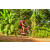 Team 138 / Raid Amazones Cambodge - J5 VTT