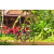 Team 49 / Raid Amazones Cambodge - J5 VTT