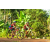 Team 07 / Raid Amazones Cambodge - J5 VTT