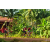 Team 104 / Raid Amazones Cambodge - J5 VTT
