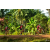 Team 101 / Raid Amazones Cambodge - J5 VTT