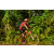 Team 146 / Raid Amazones Cambodge - J5 VTT