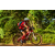 Team 56 / Raid Amazones Cambodge - J5 VTT