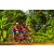 Team 105 / Raid Amazones Cambodge - J5 VTT