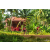 Team 12 / Raid Amazones Cambodge - J5 VTT