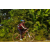 Team 116 / Raid Amazones Cambodge - J5 VTT