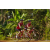Team 173 / Raid Amazones Cambodge - J5 VTT