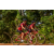 Team 173 / Raid Amazones Cambodge - J5 VTT