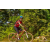 Team 116 / Raid Amazones Cambodge - J5 VTT