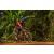 Team 115 / Raid Amazones Cambodge - J5 VTT
