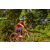 Team 115 / Raid Amazones Cambodge - J5 VTT
