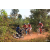 Raid Amazones Cambodge - J5 VTT Ambiance