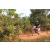 Raid Amazones Cambodge - J5 VTT Ambiance