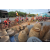 Raid Amazones Cambodge - J5 VTT