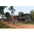 Raid Amazones Cambodge - J5 VTT