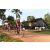 Raid Amazones Cambodge - J5 VTT