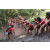 Raid Amazones Cambodge - J5 VTT