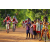 Raid Amazones Cambodge - J5 VTT