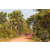 Raid Amazones Cambodge - J5 VTT