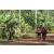 Raid Amazones Cambodge - J5 VTT