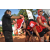 Team 148 / Raid Amazones Cambodge - J6 Trek