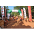 Team 174 / Raid Amazones Cambodge - J6 Trek