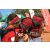 Team 140 / Raid Amazones Cambodge - J6 Trek