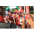 Team 167 / Raid Amazones Cambodge - J6 Trek