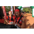 Team 180 / Raid Amazones Cambodge - J6 Trek