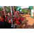 Team 180 / Raid Amazones Cambodge - J6 Trek