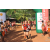 Team 10 / Raid Amazones Cambodge - J6 Trek