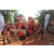 Team 116 / Raid Amazones Cambodge - J6 Trek
