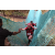 Team 150 / Raid Amazones Cambodge - J6 Trek