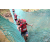 Team 113 / Raid Amazones Cambodge - J6 Trek
