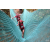Team 53 / Raid Amazones Cambodge - J6 Trek