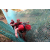 Team 133 / Raid Amazones Cambodge - J6 Trek