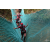 Team 146 / Raid Amazones Cambodge - J6 Trek