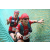 Team 146 / Raid Amazones Cambodge - J6 Trek