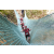 Team 14 / Raid Amazones Cambodge - J6 Trek