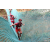 Team 12 / Raid Amazones Cambodge - J6 Trek
