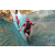 Team 172 / Raid Amazones Cambodge - J6 Trek