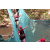 Team 51 / Raid Amazones Cambodge - J6 Trek